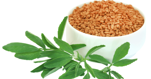 fenugreek seeds