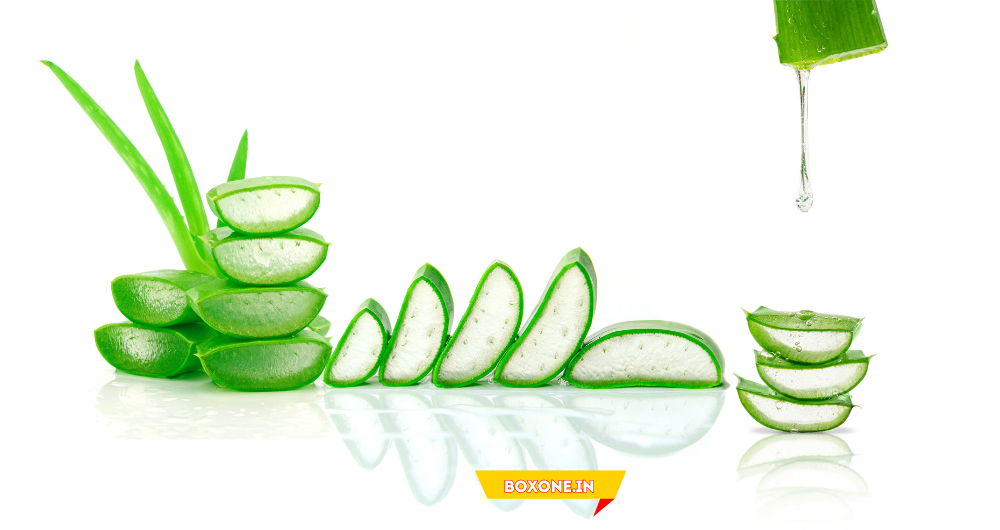 Aloe Vera Benefits