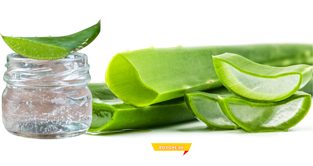 Aloe Vera Uses